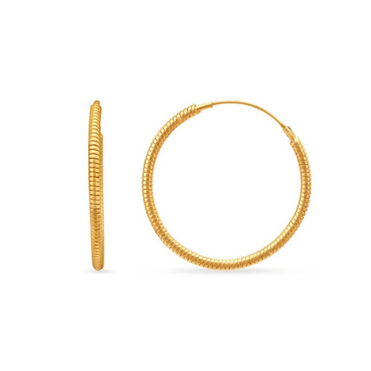 Minimalistic Charming Hoop Earrings