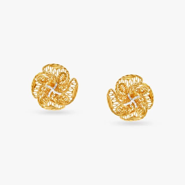 Utterly Captivating Stud Earrings