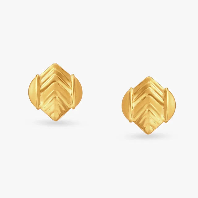 Novel Gold Stud Earrings
