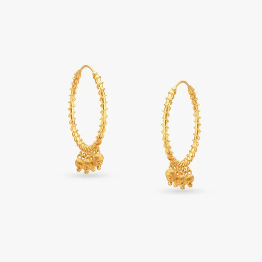 Charming Gold Hoop Earrings