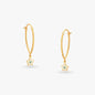Star Gold Hoop Earrings